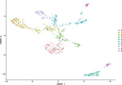 Dimensionality Reduction and Louvain Agglomerative Hierarchical Clustering for Cluster-Specified Frequent Biomarker Discovery in Single-Cell Sequencing Data